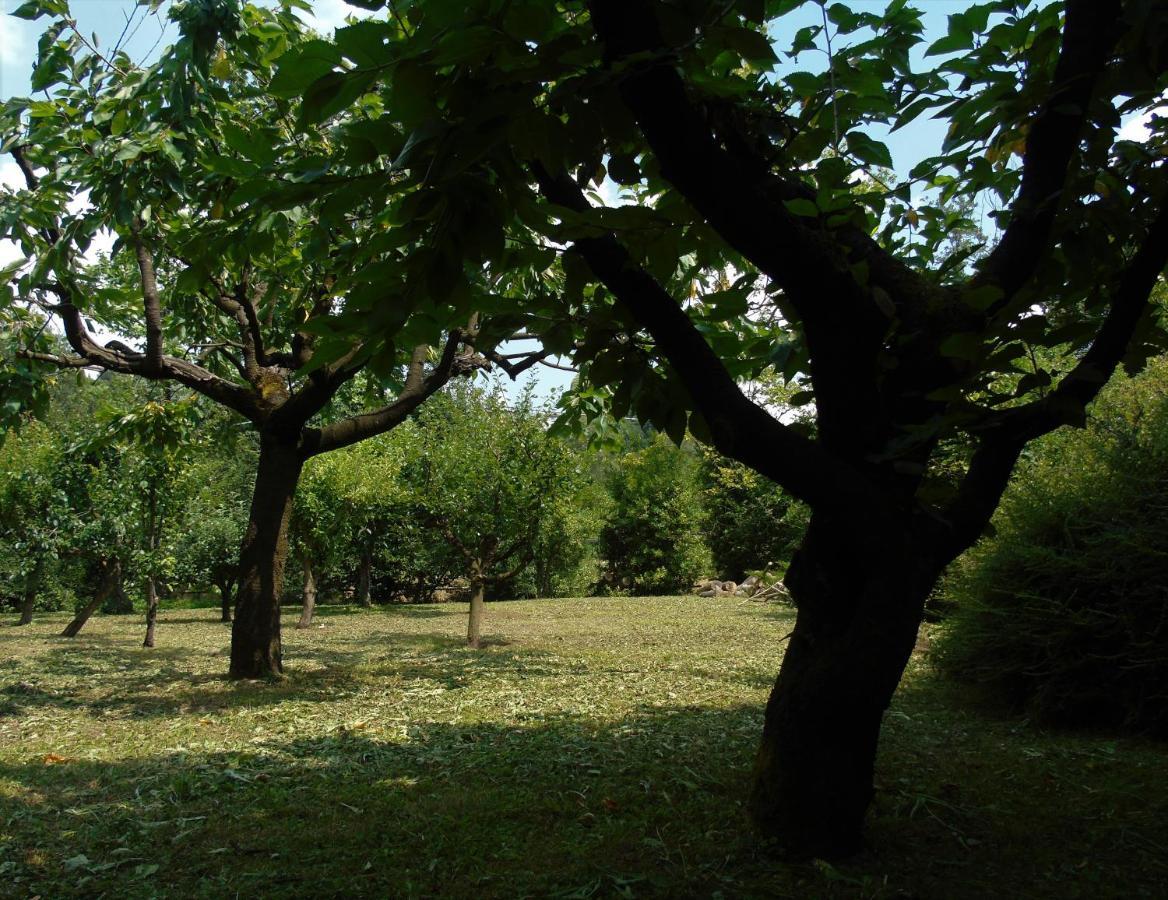 Cascina Cavalli Astino Villa Bergamo Exteriör bild
