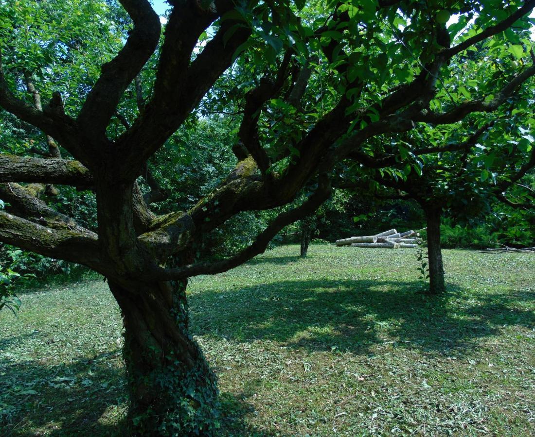 Cascina Cavalli Astino Villa Bergamo Exteriör bild